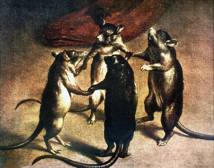 #COVID19 and The Dance of the Rats